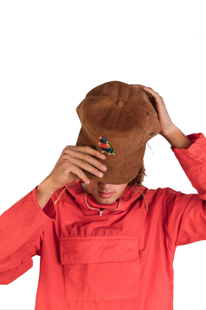 The Stash Cap - Corduroy - Brown Rainbow: Brown / One Size